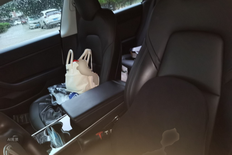 Tesla Model 3 2020 car image #17