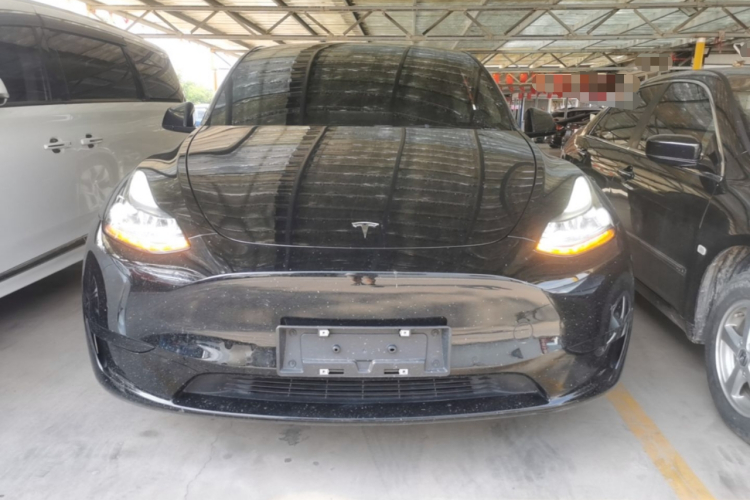 Tesla Model Y 2023 #3 Tesla Model Y 2023 car image #3