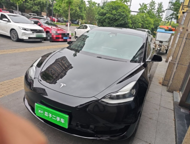 Tesla Model 3 2020 Tesla Model 3 2020 car image