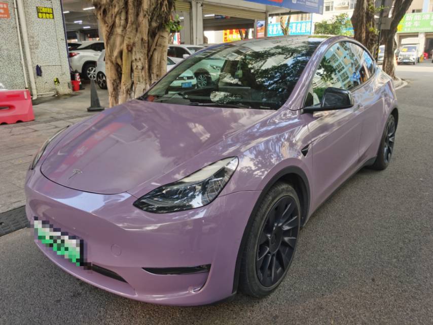 Tesla Model Y 2021 car image 