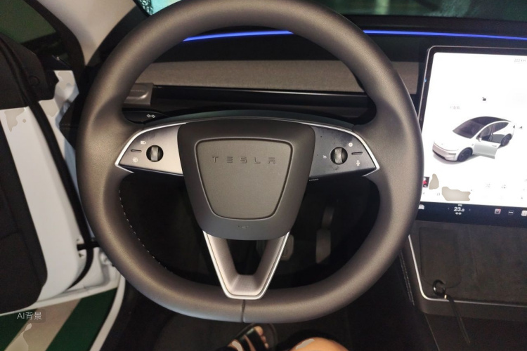 Tesla Model Y 2025 car image #12