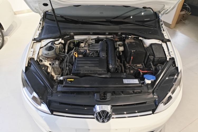 Volkswagen Golf 2016 car image #20
