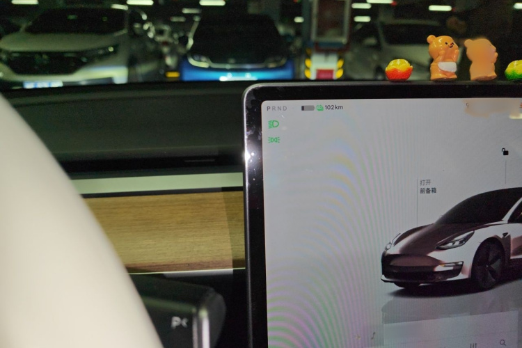 Tesla Model 3 2022 car image #16