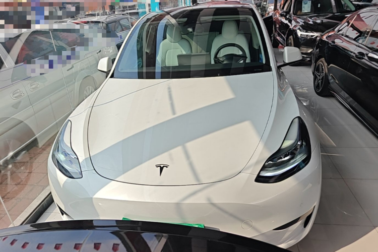 Tesla Model Y 2023 #3 Tesla Model Y 2023 car image #3