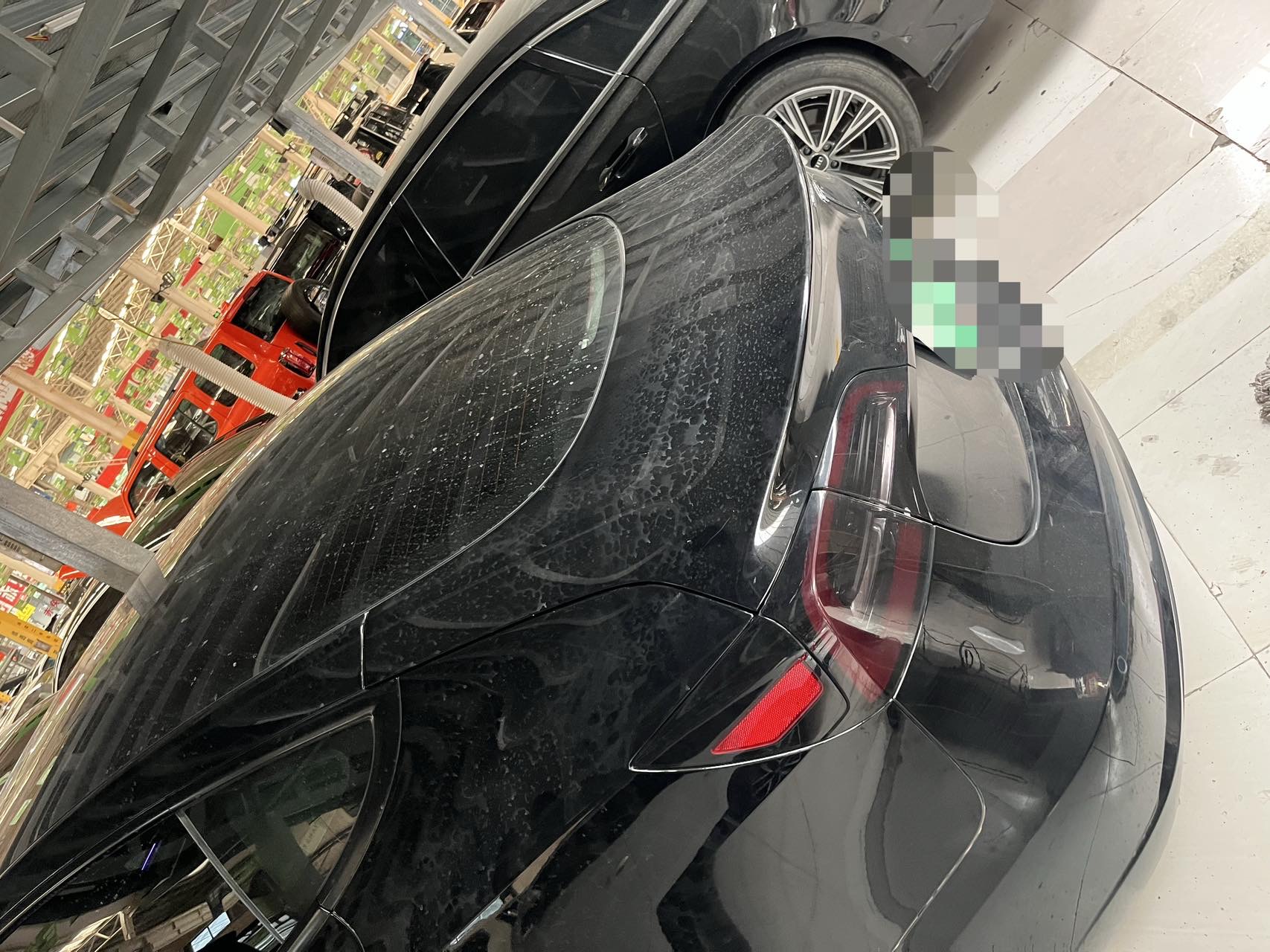 Tesla Model 3 2023 #6 Tesla Model 3 2023 car image #6