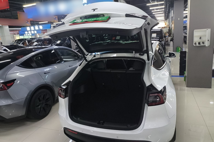 Tesla Model Y 2023 #19 Tesla Model Y 2023 car image #19