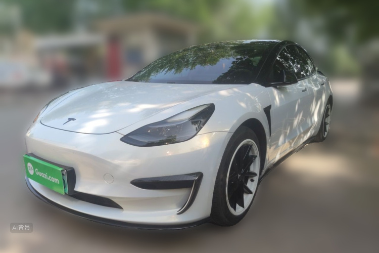 Tesla Model 3 2021 car image #2