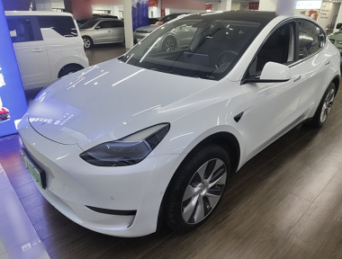 Tesla Model Y 2023 car image 