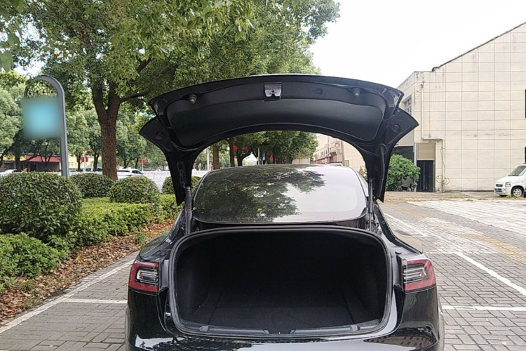 Tesla Model 3 2021 #19 Tesla Model 3 2021 car image #19