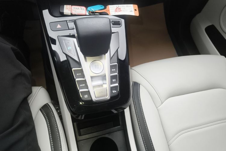BYD Yuan Pro 2022 #18 BYD Yuan Pro 2022 immagine di auto #18