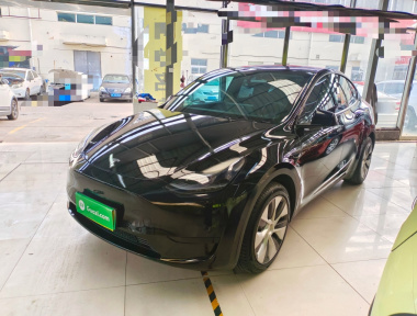 Tesla Model Y 2023 Tesla Model Y 2023 car image
