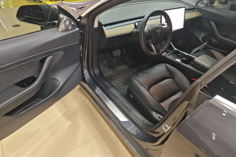 Tesla Model 3 2020 car image #16