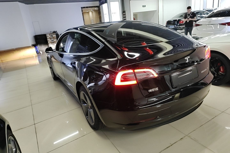 Tesla Model 3 2020 #5 Tesla Model 3 2020 car image #5