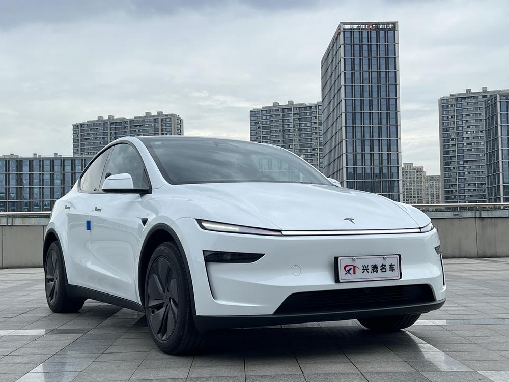 Tesla Model Y #3 Tesla Model Y car image #3