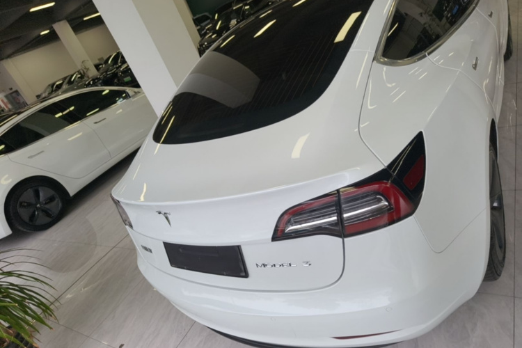 Tesla Model 3 2020 #6 Tesla Model 3 2020 car image #6