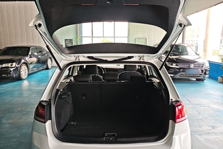 Volkswagen Golf 2019 #21 Volkswagen Golf 2019 car image #21