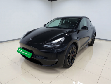 Tesla Model Y 2023 Tesla Model Y 2023 car image