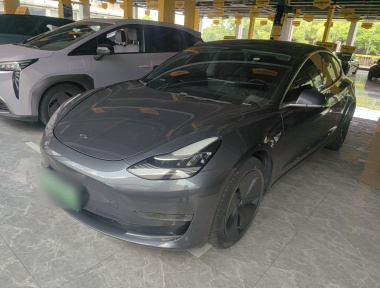 Tesla Model 3 2020 Tesla Model 3 2020 car image