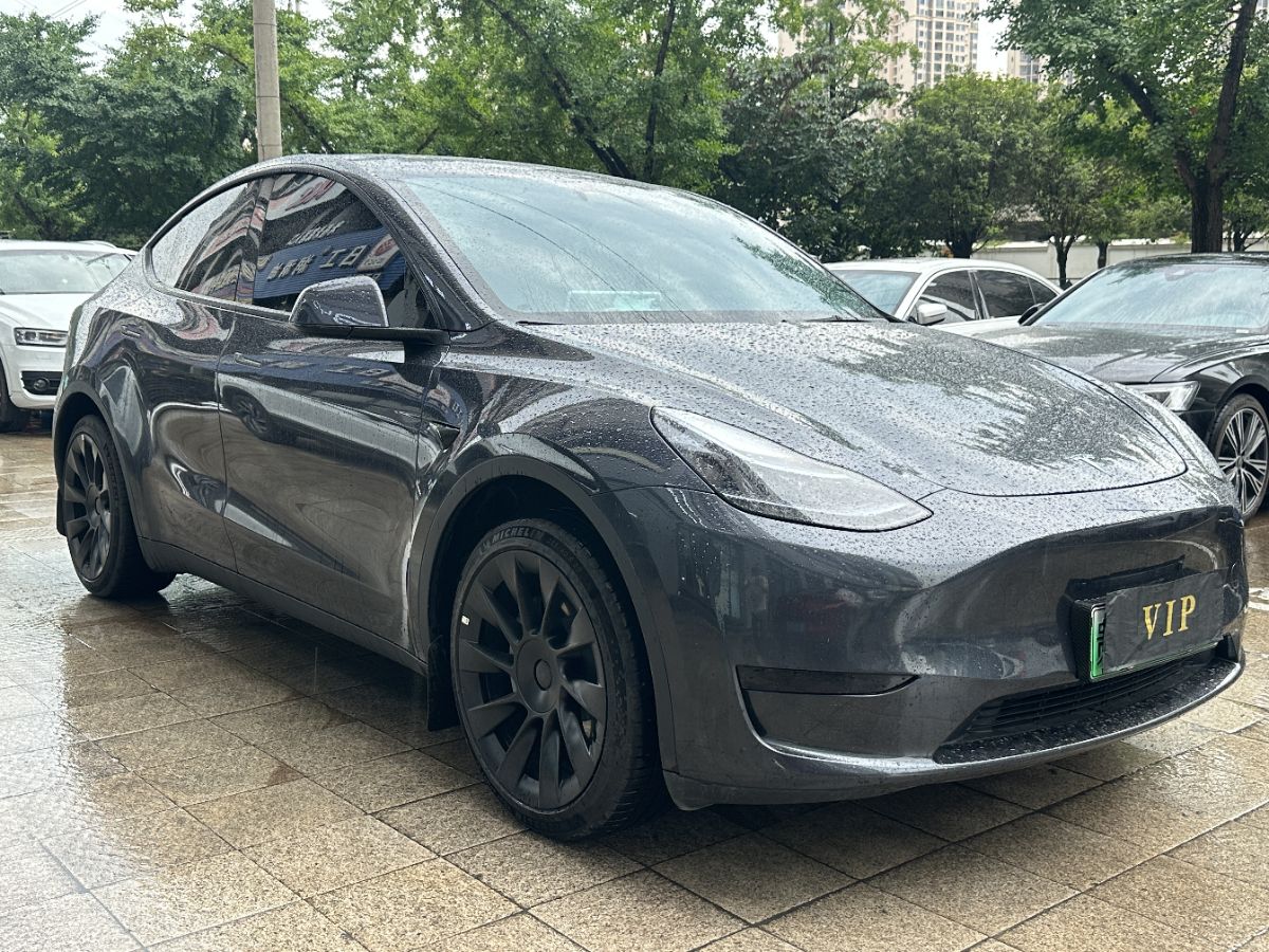 Tesla Model Y 2024 car image #3