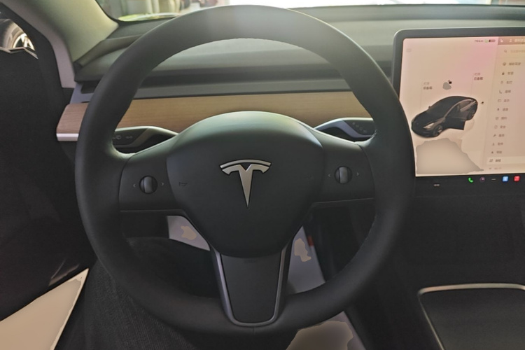 Tesla Model 3 2023 immagine di auto #11