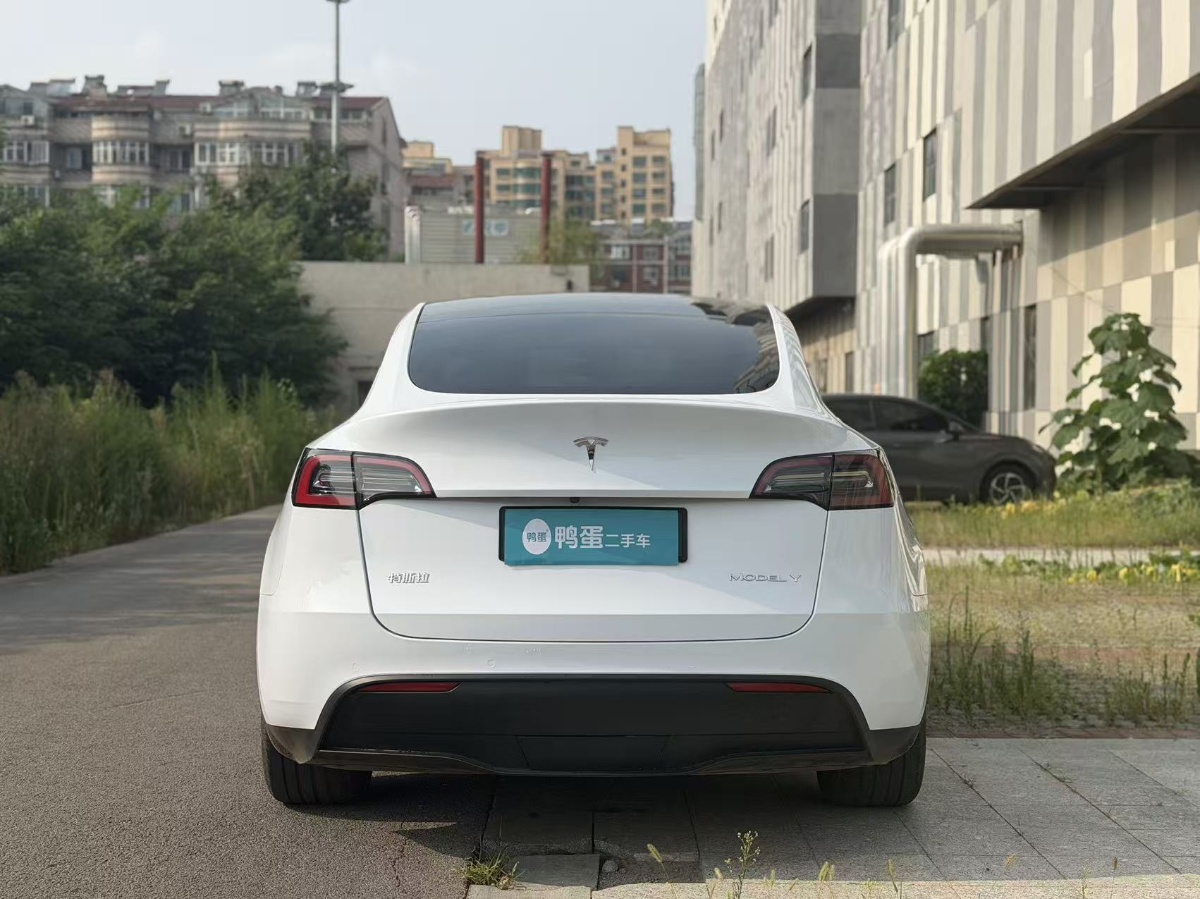 Tesla Model Y 2021 car image #5