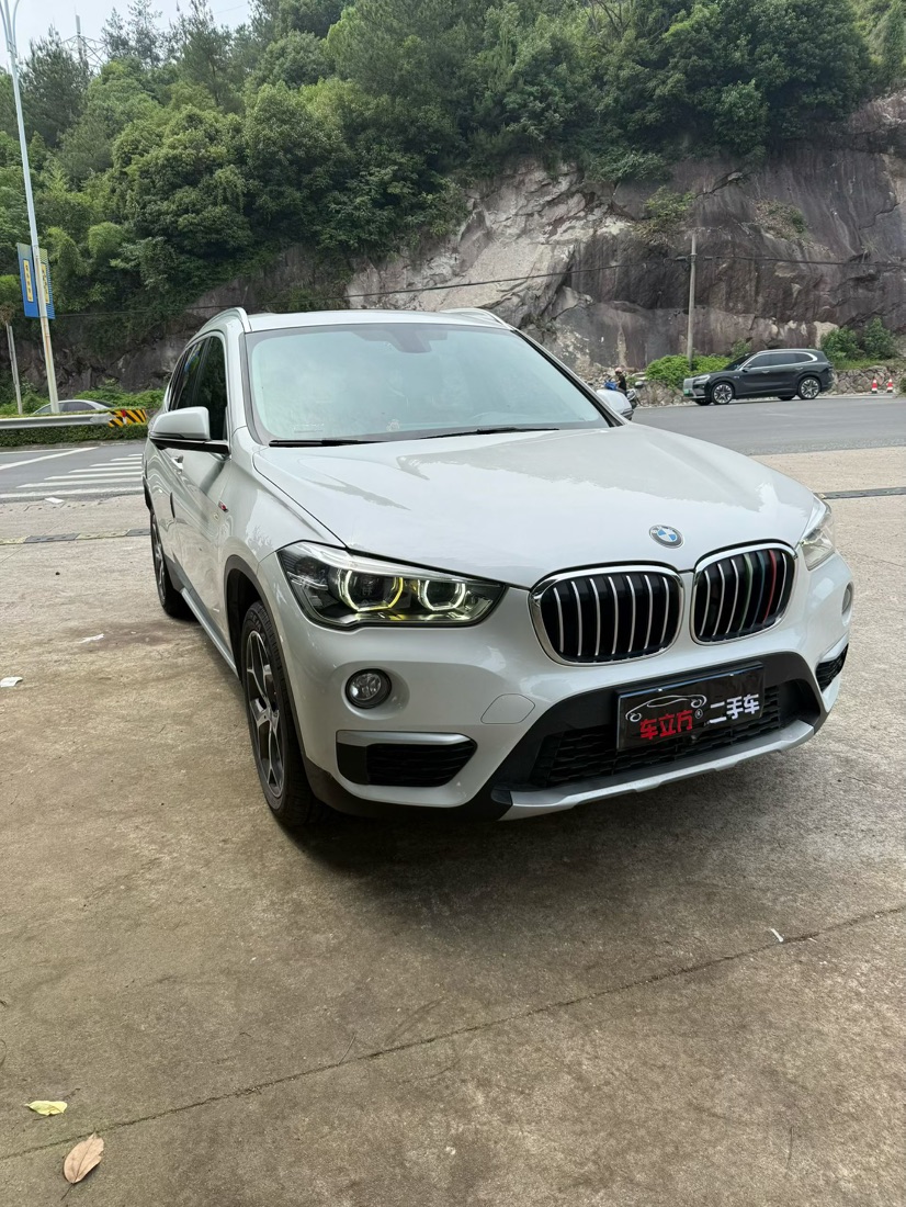 BMW X1 2019 car image #3