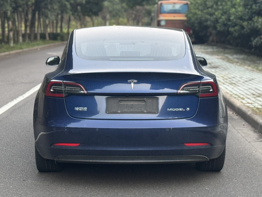 Tesla Model 3 2020 #7 Tesla Model 3 2020 car image #7