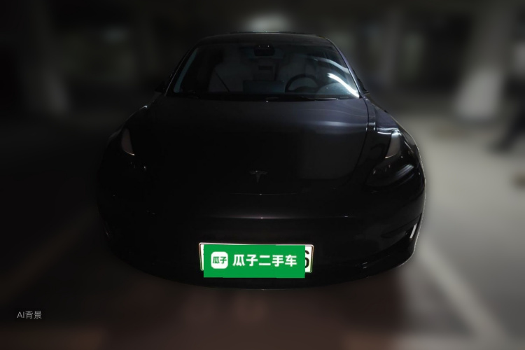 Tesla Model 3 2022 car image #3