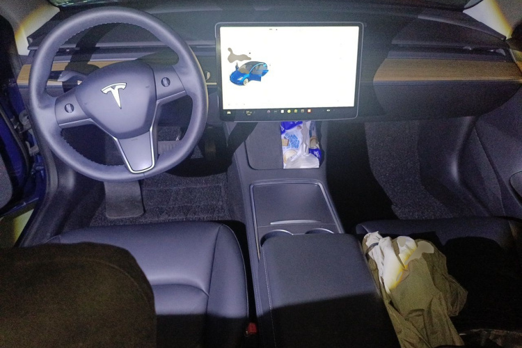 Tesla Model 3 2021 car image #12