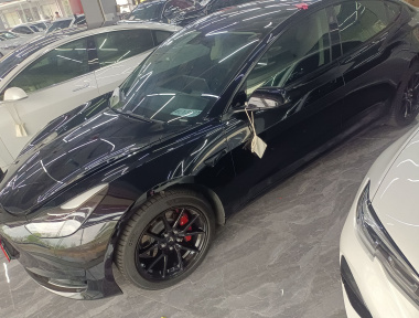 Tesla Model 3 2021 Tesla Model 3 2021 car image