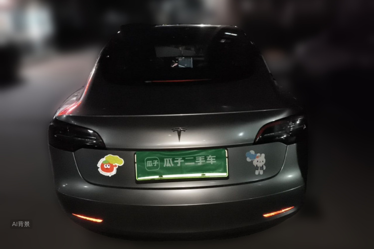 Tesla Model 3 2021 #6 Tesla Model 3 2021 car image #6