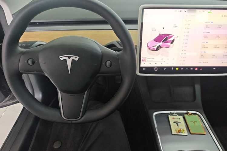 Tesla Model 3 2023 car image #11