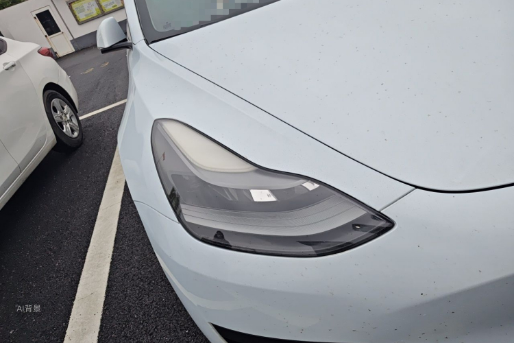 Tesla Model 3 2021 #8 Tesla Model 3 2021 car image #8