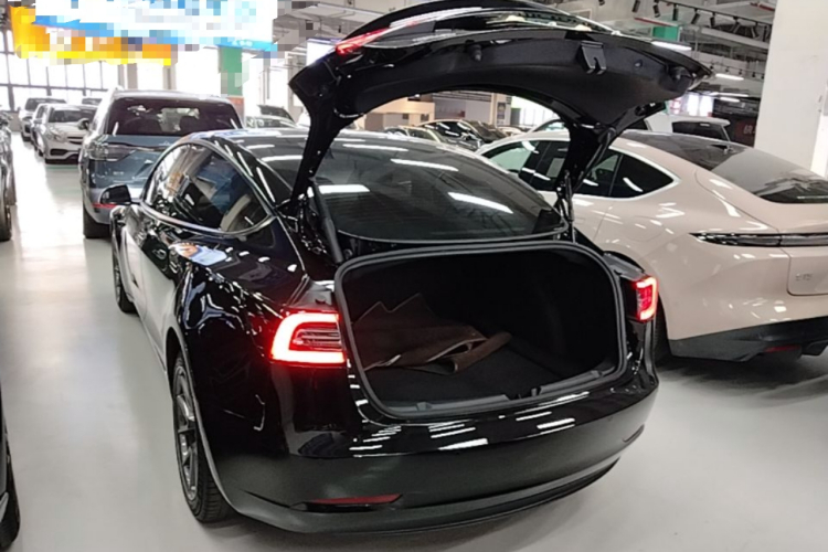 Tesla Model 3 2021 #19 Tesla Model 3 2021 car image #19
