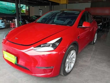Tesla Model Y 2022 Tesla Model Y 2022 car image