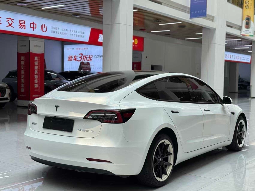 Tesla Model 3 2022 car image #5