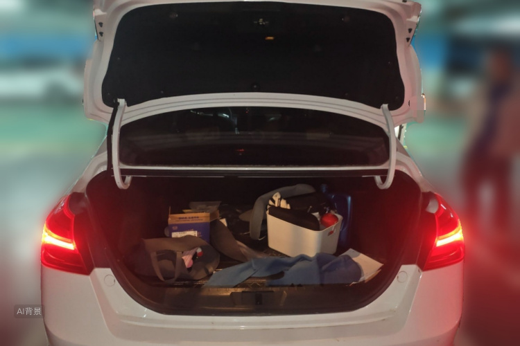 GEELY Emgrand 2019 immagine di auto #21