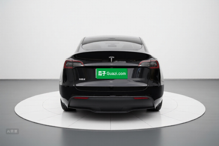 Tesla Model Y 2021 car image #6