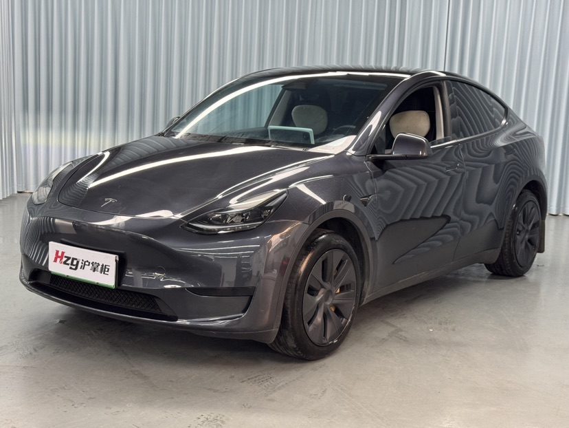 Tesla Model Y 2024 Tesla Model Y 2024 car image