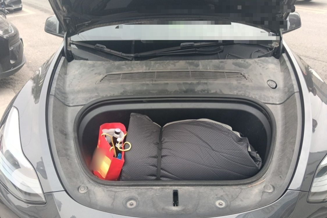 Tesla Model Y 2024 immagine di auto #10