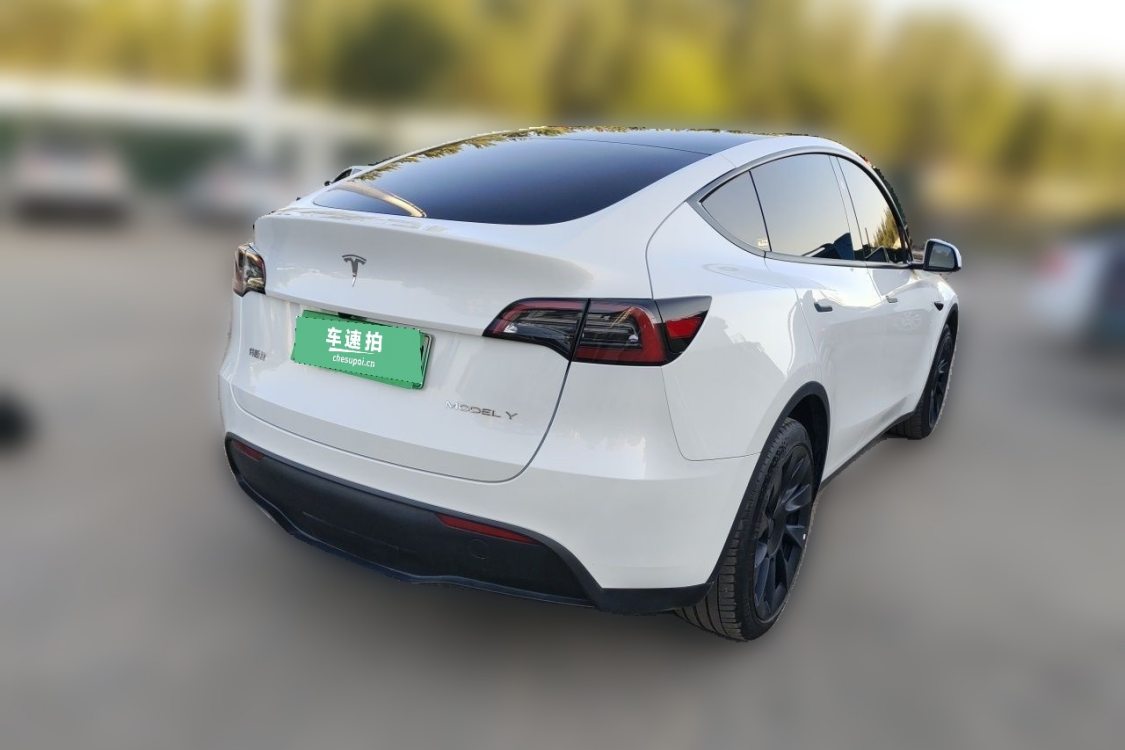 Tesla Model Y 2024 #4 Tesla Model Y 2024 car image #4