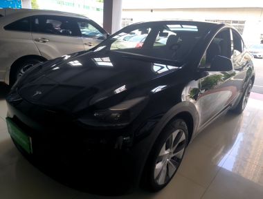 Tesla Model Y 2022 Tesla Model Y 2022 car image