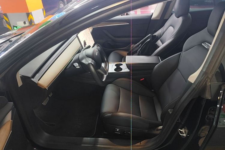 Tesla Model 3 2021 imagem de carro #16