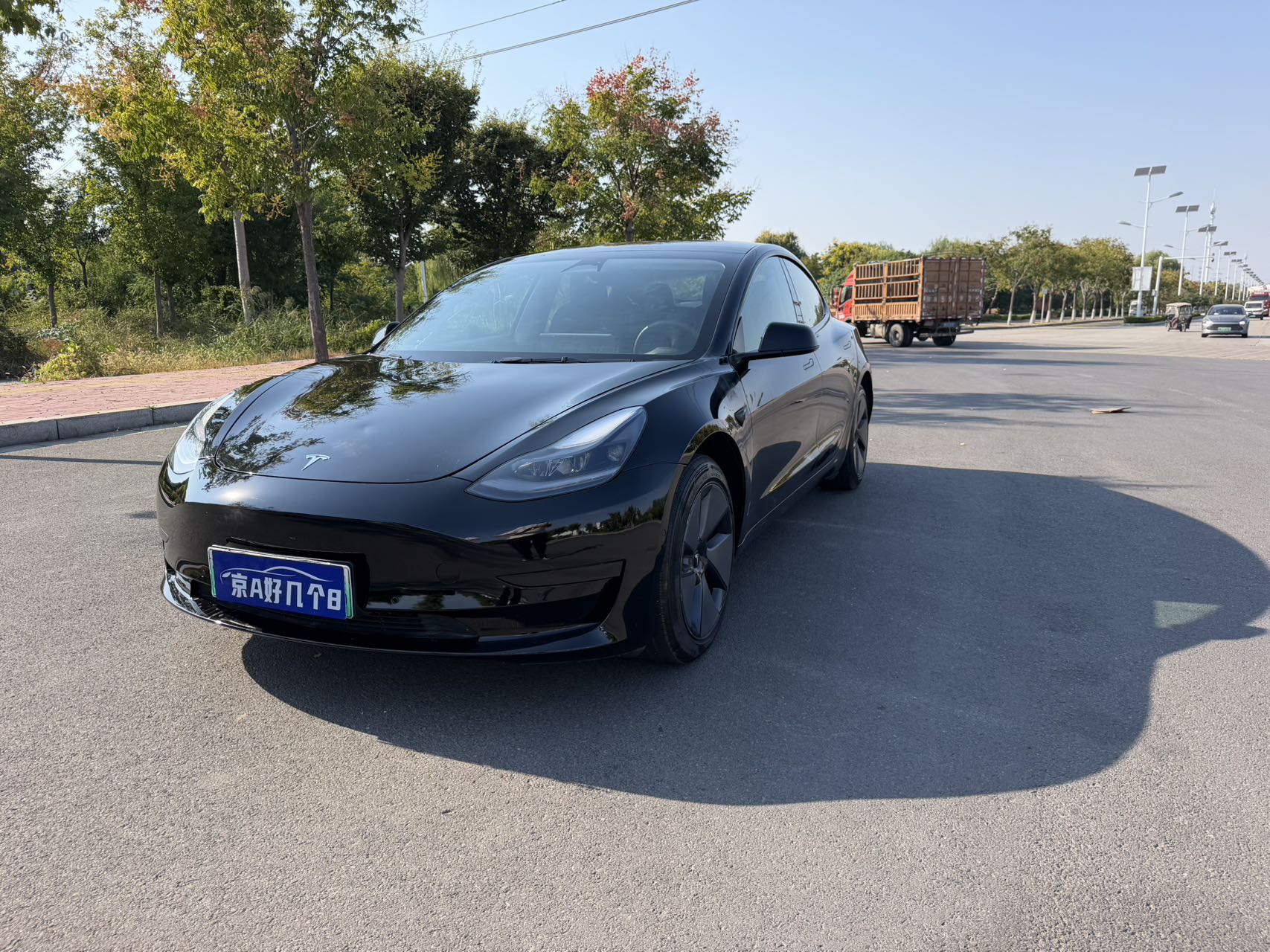 Tesla Model 3 2022 immagine di auto 