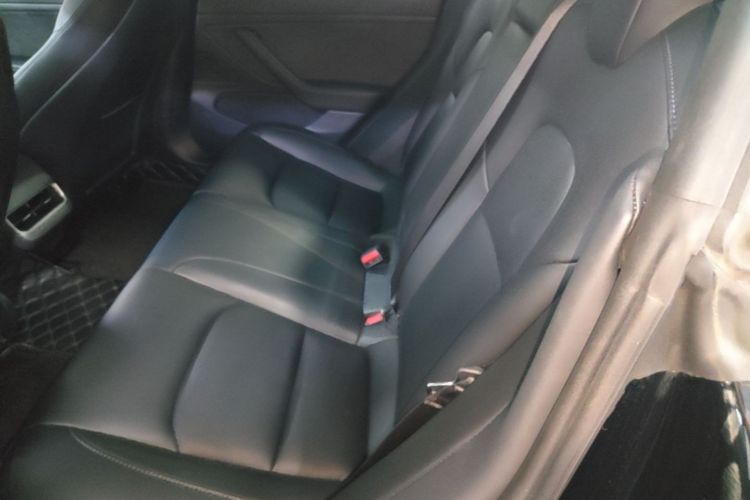 Tesla Model 3 2020 #17 Tesla Model 3 2020 car image #17