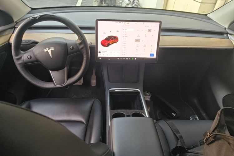Tesla Model Y 2021 imagem de carro #10