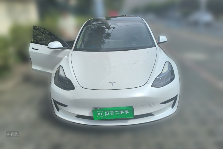 Tesla Model 3 2022 #3 Tesla Model 3 2022 car image #3