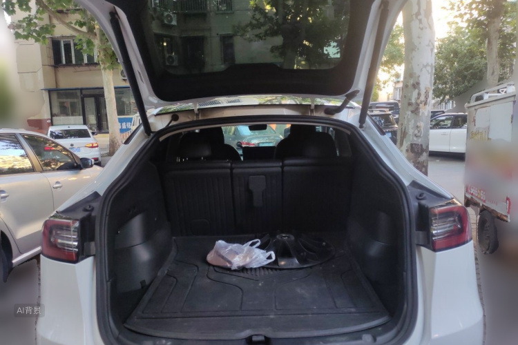 Tesla Model Y 2021 car image #21