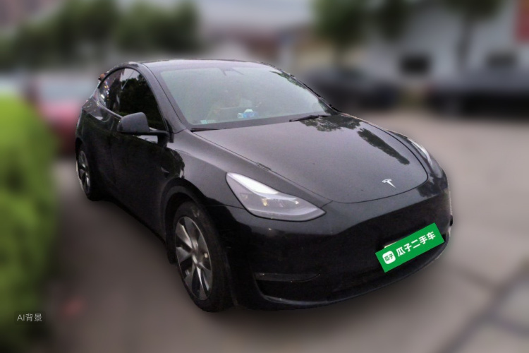 Tesla Model Y 2021 #4 Tesla Model Y 2021 car image #4