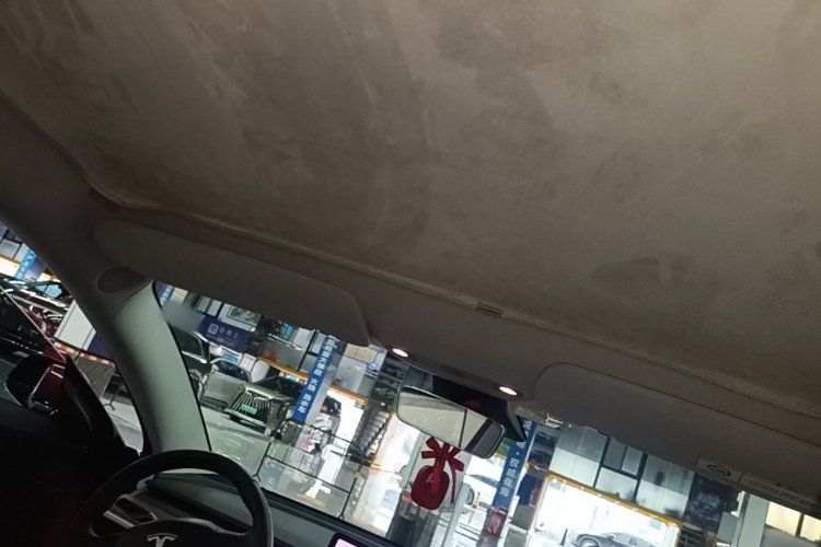 Tesla Model 3 2020 car image #18